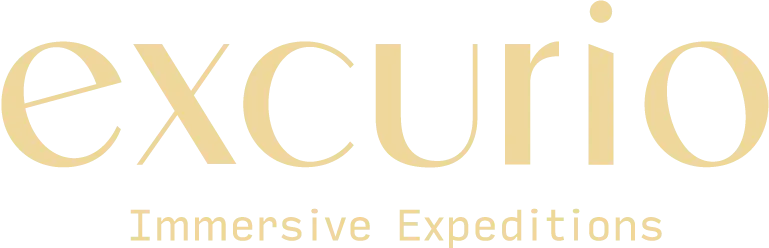 Excurio logo