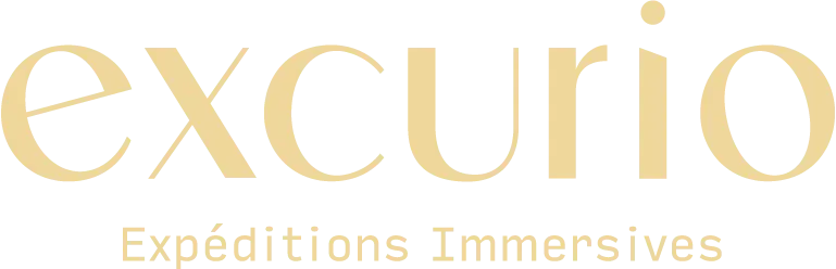 Excurio logo